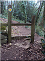 Stone Stile, Thrupp