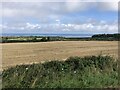 Harvested field near Lythe