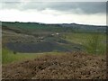 Former claypit above Kirkheaton