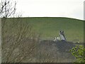 Tipping in a former claypit above Kirkheaton