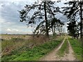 Footpath towards Thorpeness, North Warren