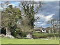 Two magnificent ancient oak trees near Upper Woodcote Farm