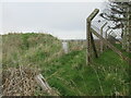 Markethill Trig Pillar