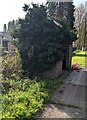 Ivy-clad bus shelter, Goytre, Monmouthshire