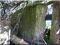 Stone Stile, Stinchcombe