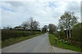 Road passing Green Gables