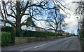 Harrogate, Yew Tree Lane