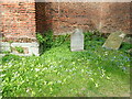 Flowers in the churchyard of the old church at Stanmore