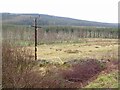 Wetland, Achnacloich