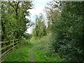 Footpath off Green Lane