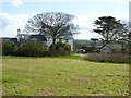 House behind a tree, Caerfarchell