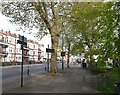 The Uxbridge Road (A4020) passing Ealing Common