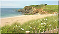 Cliffs at Warren Point