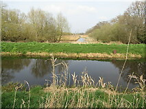 ST4340 : Somerset Levels - South Drain by Colin Smith