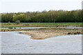 Field Pool from the West Hide, Old Moor