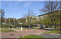 Three flags outside County Hall