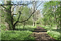 Borders Abbey Way, Tweedbank