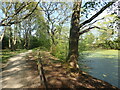 The London Loop passing Fish Pond