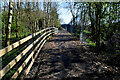 Path along Termon Greenway