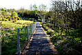 Path along Termon Greenway