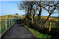 Path along Termon Greenway