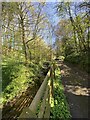 Stream, fence and path