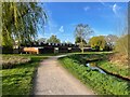 Path by Cove Brook