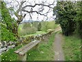 Path, Selkirk Hills