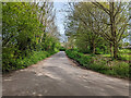 Rectory Lane, Ifield