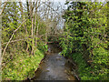 River Mole, looking downstream