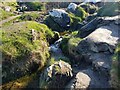 Stream cutting coastal path near Porthselau beach