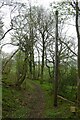 Telegraph pole along a bridleway