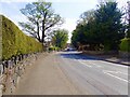 Bryansford Road descending into Newcastle