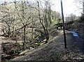 Path beside Watergate Burn