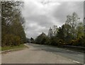 The A835 approaching Contin