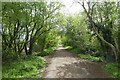 Cycle path in Wetherby