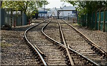 TM2332 : Trackwork, industrial sidings, Parkeston Quay by Roger Jones