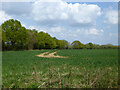 Field north of Lubberhedges Lane