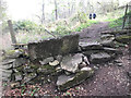 Stone Stile, Toadsmoor Woods