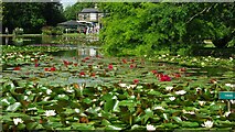 SE8048 : Pocklington Water Gardens by Kevin Waterhouse