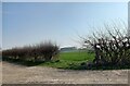 North Dalton, Staveley Wold Farm