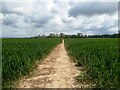 Footpath, Sheldwich