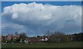 Cumulus cloud above Theydon Green