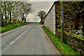 Farm buildings along Creggan Road