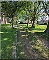 Public footpath between trees, Brookthorpe