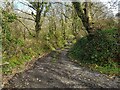 Track to a ford near Nolton, Pembrokeshire