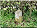 Old Boundary Marker on the A684 Stokesley Road