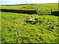 SE0718 : Bath used as watering trough, Stainland by Humphrey Bolton