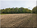 Small field with rough grassland killed off