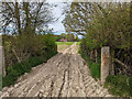 Farm track across the River Mole